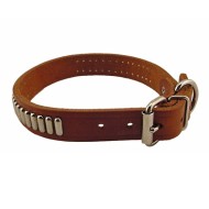 Dog Collar